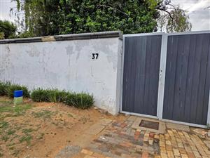 Newly Renovated Open Plain Bachelor in Edleen 