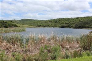 Farm For Sale in PORT ALFRED