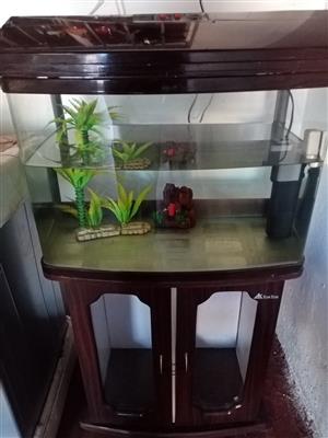 Sun sun complete fish tank 
