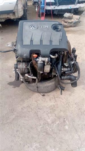 CAY Polo TDI Engine