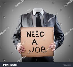 Job Seeker: Technically Intelligent, yet not fussy! 