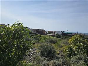 Natural Beauty with Breathtaking Kloof and Ocean Views