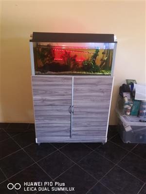 Fish tank for sale ther is alot of extra goodies, 