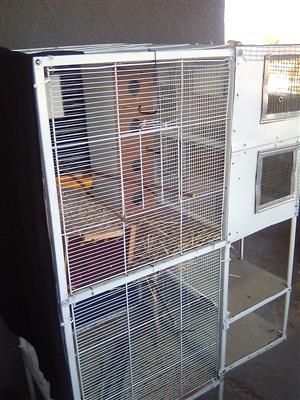 Parrot cage 