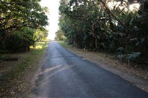 Level land very close to main Pennington beach