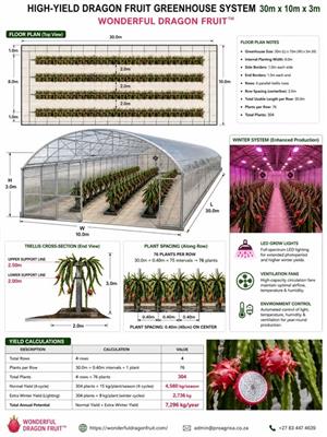 Dragon Fruit South Africa High-Yield Precision Greenhouse System