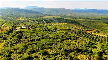 6 HECTARE VACANT DEVELOPMENT LAND – PRIME LOCATION NEAR BUSHVALLEY, SOUTH AFRICA