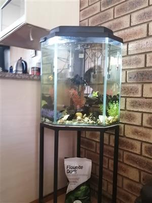 Second-hand Corner Fish tank 40 ltr for sale