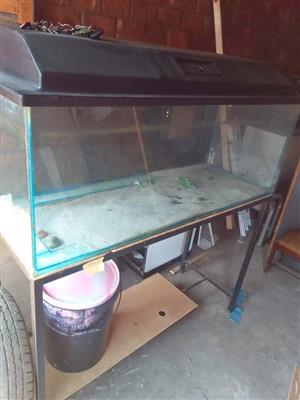 Fishtank 