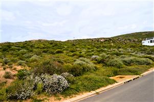 Good vibes happen on the tides