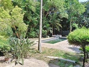 Architectural Masterpiece Meets Garden Sanctuary in Meerensee