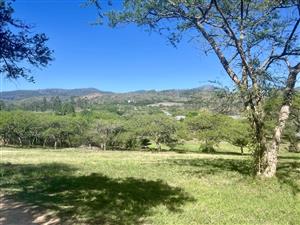 286 Farm Alkmaar — 13.73ha Lifestyle Farm With River Frontage & Two Homes