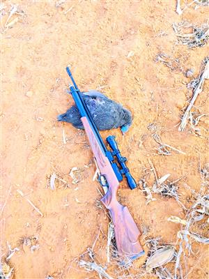 Pusat air rifle x artemis sr1250w 