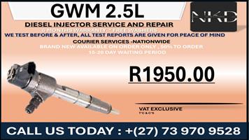 GWM 2.5L Diesel Injectors 