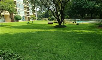 Apartment For Sale in Denlee