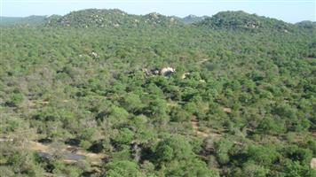Top Game Breeding Farm for Sale in Hoedspruit.