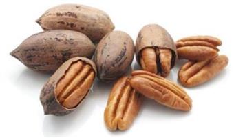Pecan Nuts 