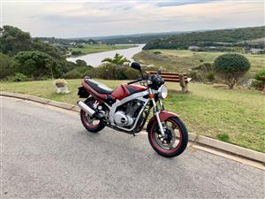 SUZUKI GS500e