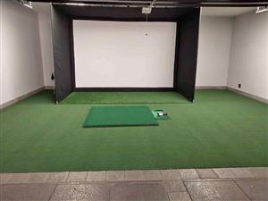 Indoor golf assimulator surface