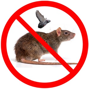 Rodent and Bird Control (FREE)