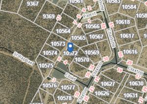 Pretty sure my birthstone is a seashell