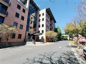 Constantia Kloof AAA‑Grade Office Space To Let – 580m² in Quadrum Office Park