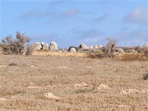 Elevated Plot with Lagoon and Greenbelt Views