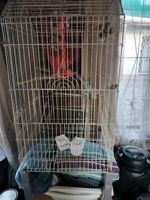 Bird cage with stand and bowls 