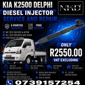 Kia_K2500_Delphi_Injectors_On_Recondition 