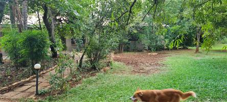 BIG FAMILY HOME with 1BEDROOM APARTMENT