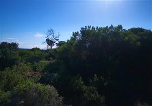 ELEVATED STAND WITH A BEAUTIFUL SIDE VIEW OF THE OCEAN AND DIRECT SIGHT OF THE  MOUNTAINS,  AS WELL