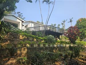 Central Westville - Modern, Spacious - perfect location