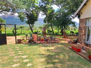 Your Ideal Cattle Farming Opportunity: 329 HA with Excellent Water Resources & Infrastructure!