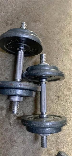 Weights 