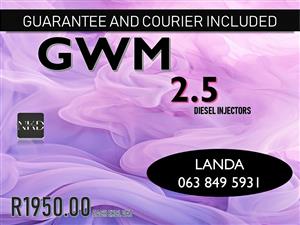 GWM 2.5 DIESEL INJECTORS RECONDITIONING