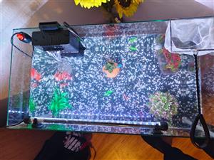 Fish Tank For Sale 