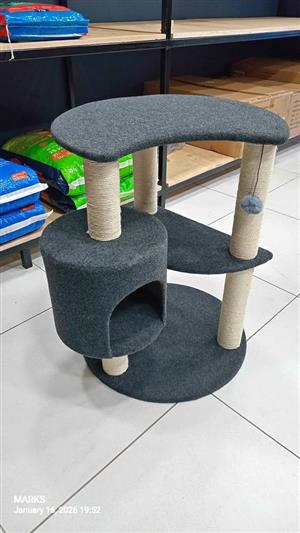 Cat scratching furniture