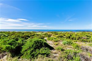 Prime Beachfront Vacant Land in Sandy Point Beach Estate