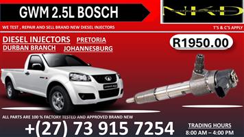 Injectors to Recondition GWM 2.5L 