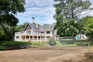 A Wembley retreat  with space to play and relax