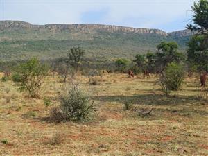 Lifestyle Eco-Livestock/Agricultural FARM