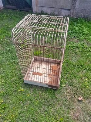 Bird Cage / Voelhok