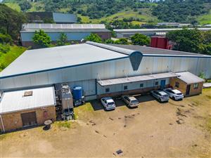 On Auction - Industrial Property in Westmead
