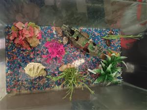 FISH TANK IN EXCELLENT CONDITION 