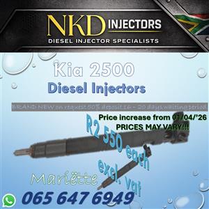 Diesel Injectors Kia K2500 Delphi