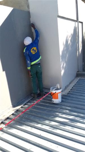 Professional painters