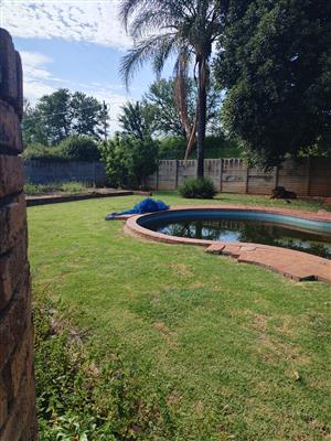 Family house rental