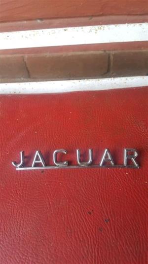 Jaguar e type metal lettering 1961. 