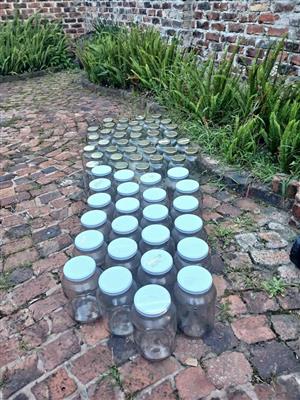 Glass Jars for sale