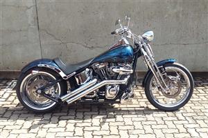 Price Has Been Reduced on this Stunning Thunder Mountain Springer!